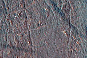 Small Barchan Dunes in Northeast Argyre Region