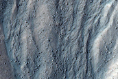 Gully Monitoring