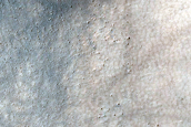 Dune Field
