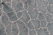 Bright and Dark Fans on Patterned Ground Dubbed Troy