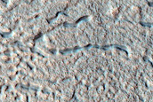 Looking for Frost in South-Facing Gullies with Bright Exposures