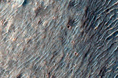 Terrain Sample