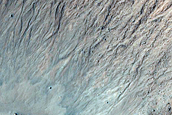 Gully Monitoring