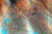 Dune Field