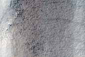 Terrain Sample