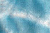 Searching for Dust Devil Tracks