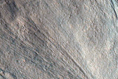 Gully Monitoring