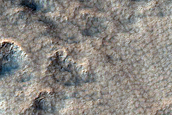 Pitted and Scalloped Terrain