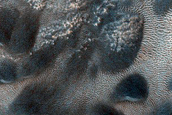 Dune Monitoring in Crater