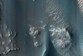 Dune Survey