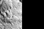 Lycus Sulci