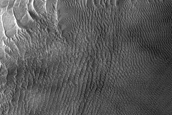 Wirtz Crater Dune Changes