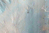 Frost Survey in Fresh-Looking Crater with Steep Slopes
