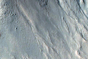 Gully Monitoring