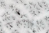 Monitoring Rugged Terrain