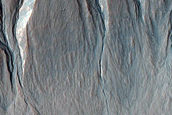 Possible Gully-Associated Light-Toned Materials in Terra Sirenum