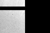 Frost Survey in Steep and Fresh-Looking Crater