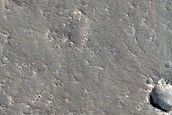 Monitoring Dust Devil Tracks
