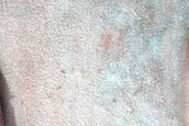 Dune Monitoring in Kunowsky Crater