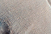Gullies in Nereidum Montes