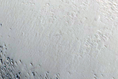 Pavonis Mons
