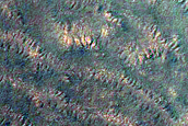 South Polar Region