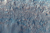 Gully Monitoring