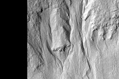 Possible Gully-Associated Light-Toned Materials in Terra Cimmeria