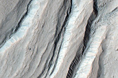 Gully Monitoring