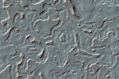 South Polar Residual Cap Monitoring