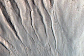 Gully Monitoring