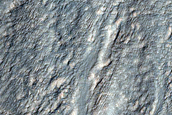 Gully Monitoring