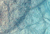 Gully Monitoring