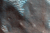 Dune Monitoring in Crater