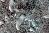 Dune Monitoring in Crater
