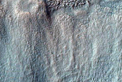 Gully Monitoring