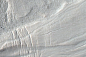 Gully Monitoring  