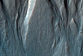 Gully Monitoring