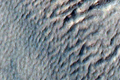 Gully and Scarp Monitoring