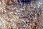 Hellas Planitia