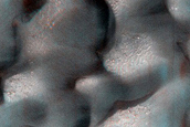 Dune Monitoring in Crater