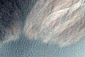 Gully Monitoring