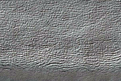 South Polar Residual Cap Monitoring