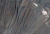 Gully Monitoring
