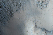 Frost Survey in Steep and Fresh-Looking Crater