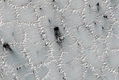 Bright and Dark Fans on Patterned Ground Dubbed Troy