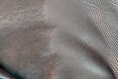 Dune Monitoring in Milankovic Crater