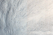 Frost Survey in Fresh Crater with Steep Slopes