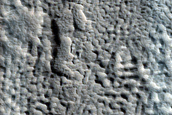 Terrain Features in Crater in Terra Sabaea