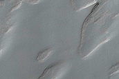 South Polar Residual Cap Monitoring
